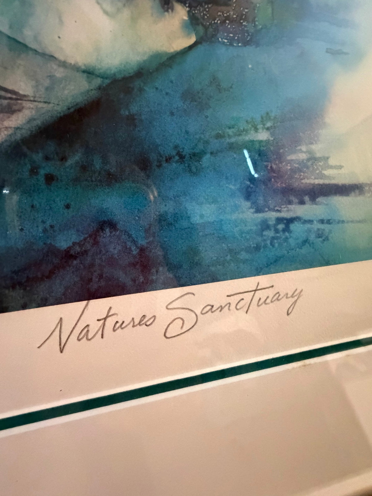 Lot 1017: Nature's Sanctuary Watercolor Art Print, Pencil Signed and Inscribed, 1998, Framed, 33 x 42 in