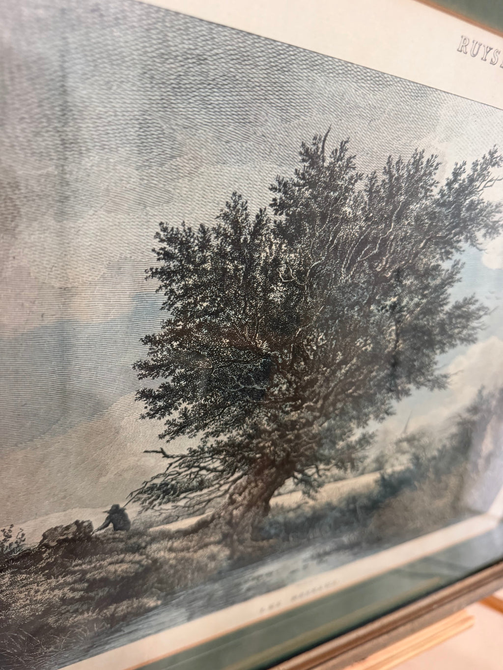Lot 1033: Ethan Allen Framed Engraving After Ruysdael, Wooded Landscape with Great Tree, Green Mat, Silver Frame, 26.5 x 22.5 in