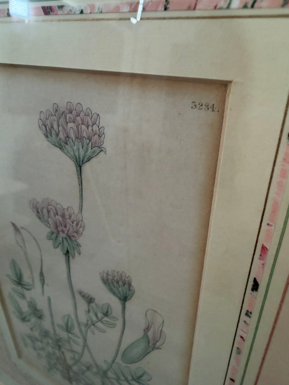 Lot 664: 1833 Samuel Curtis Hand Colored Botanical Engraving, Clover, Framed, 18 x 21 in